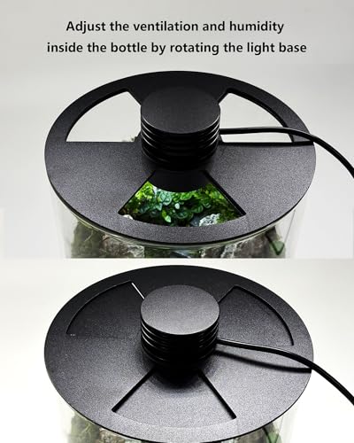 Desktop Glass Terrarium with Grow Light