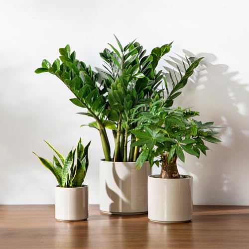 6"+8"+10" Ceramic Pot for Plants (Gray / 6+8+10 Inch)