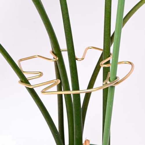 5.5x4.7in Gold Monstera Plant Stem Support System (Gold / 5.5IN*4.7IN)