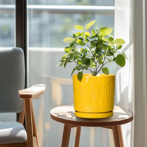 8 Inch Plant Pot (8 Inch / Yellow)