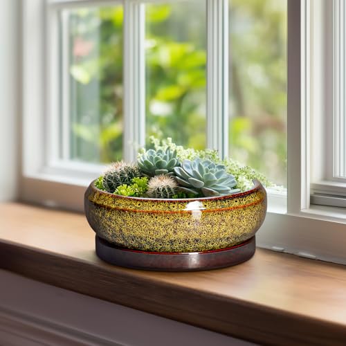 Succulent Planters 8 Inch (8 Inch / Leopard Yellow)