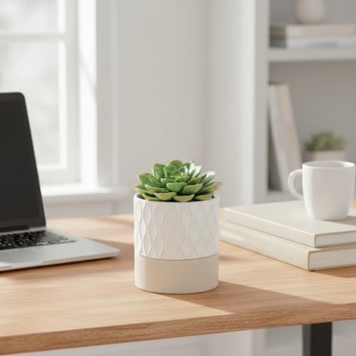 Ceramic Self Watering Plant Pot for Indoor Plants (Cream White & Brown Net / 4.5"+6" Self Watering)
