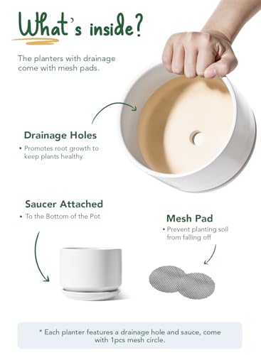 6.8 Inch Ceramic Pots for Plants (White / 6.8")