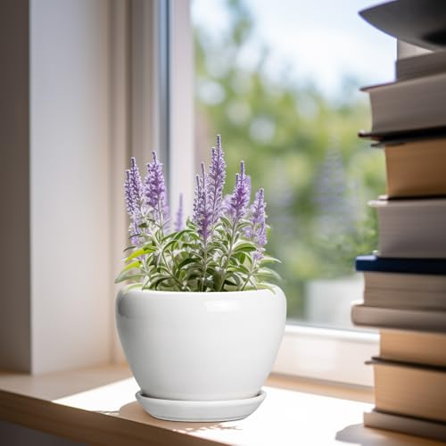 Ceramic Pot for Plants (6 Inch / Glossy White)