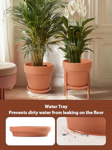 Terracotta Pot Set of 2 with Saucer (10/10 inch -2 pcs)