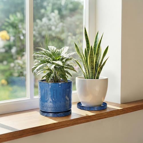 2 Pack 5.6 Inch Flower Pot Saucers (5.6 Inch (2 Pack) / Blue)