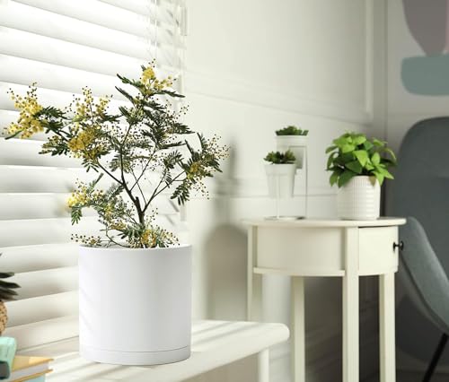 2 Pack White Plastic Planters with Saucers (8")