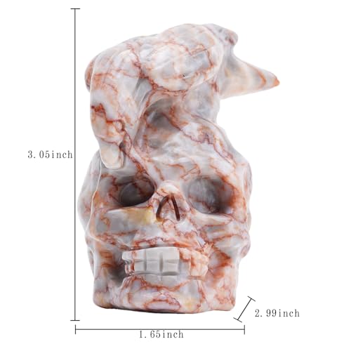 Natural Red Grid Crystal Skull and Crow Head Hand Carved Reiki Healing Stone Statue Healing Home Office Art Room Decoration (Red Grid Stone / 3inch)