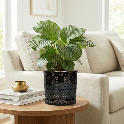 6 Inch Plant Pot (6 Inch / Black - 2)