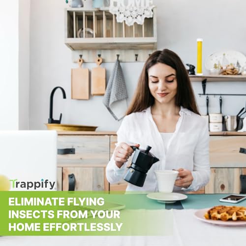 Hanging Fly Trap & Fruit Fly Traps for Indoors (2 Count)