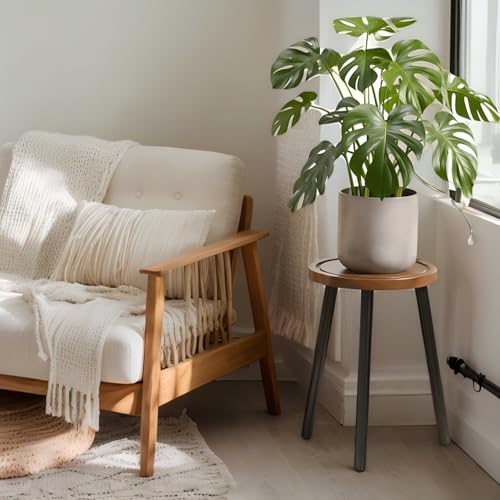 2 Pack Wood Plant Stands Indoor (Brown Tray with Black Legs / 2 Pack)