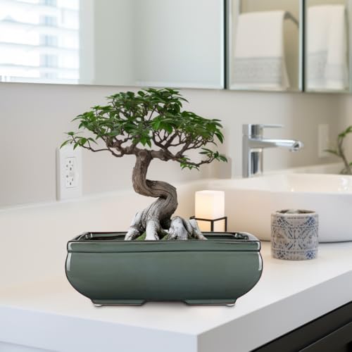 Set of 2 Large Bonsai Pots with with Drainage Hole (Green / 10"x7"x3.3"&7.4"x5.1"x2.5")