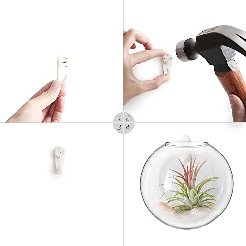 Wall Propagation Planters