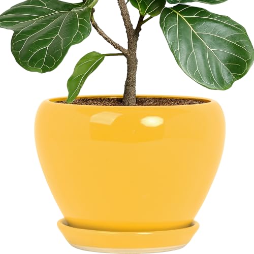 10 Inch Plant Pot