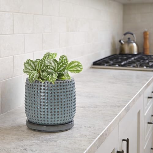 Beaded Ceramic Pot with Saucer (4.3 Inch / Graphite Blue)