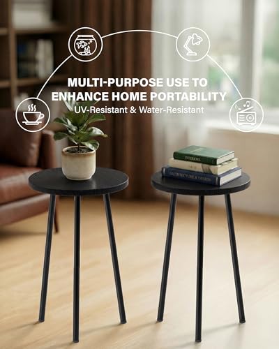 Plant Stand Indoor 2 Pack (Black / 20"&20")