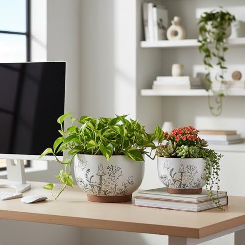 Terracotta Pots (6 Inch - 1 Pack / Cottage)