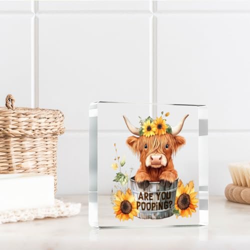 Highland Cow Bathroom Decor Gifts (Pooping)