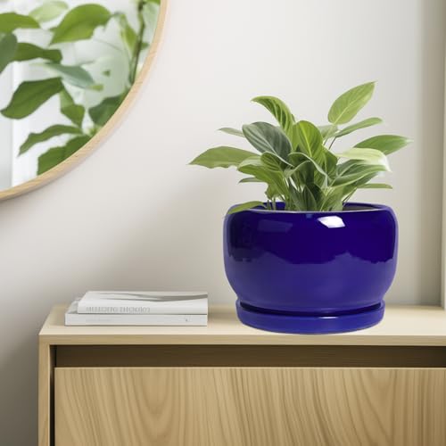 Ceramic Plant Pot