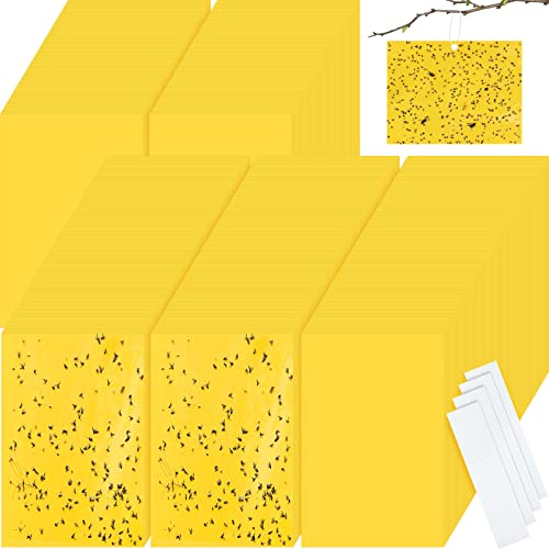 700 Pcs 6x8 Inch Yellow Sticky Traps for Gnats (700 Count)