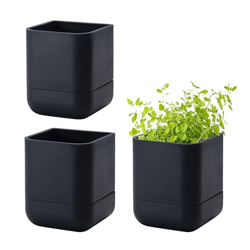 3.5 Inch Wall Mounted Self (3.5" (3 Pack) / Black)