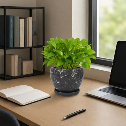6 Inch Plant Pots (Gemstone Gray / 6 Inch)