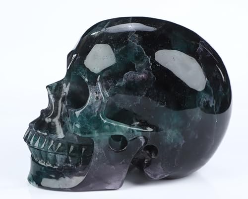 5.0" Fluorite Crystal Skull (5.0 Inches Fluorite 1)