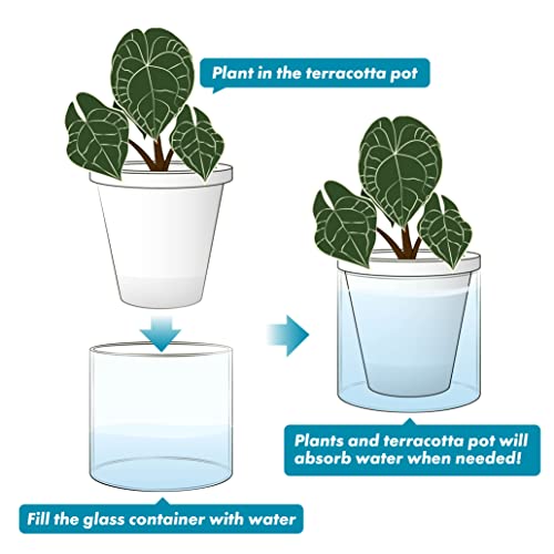 Self Watering White Terracotta Planter (2 Count)