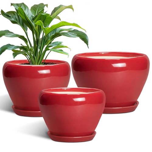 Ceramic Plant Pots (10+8+6 Inch / Bright Red)