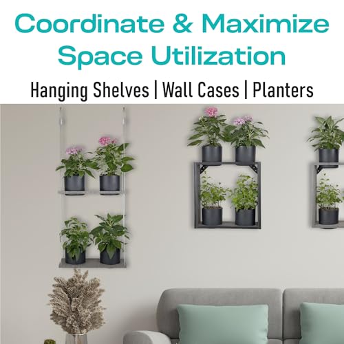 Hanging Planter Line (2 Count)