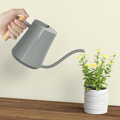 1L 35oz Metal Watering Can Indoor with Long Spout (Gray)