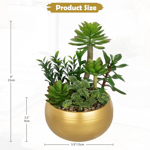 Artificial Succulent Plants in Gold Pot Faux Succulent Arrangement Fake Potted Plants with Pebbles for Home Office Desk Shelf Table Decor (Gold #02)