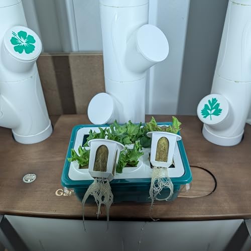 Grow Cubes for Hydroponic System (Seed Starter Nursery + w/Rockwool)