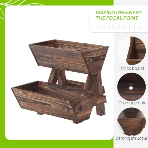 Vertical Garden Planter 2 tier Raised Garden Bed Tiered Wood Planter Box (Carbonized / 2-Tier-Small)