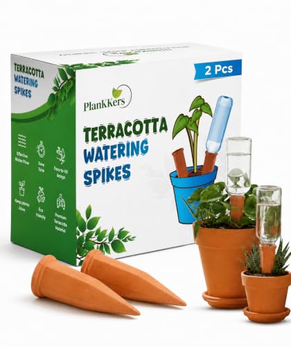 Plant Watering Devices (Terracotta - 2 Pcs (Pack of 1))