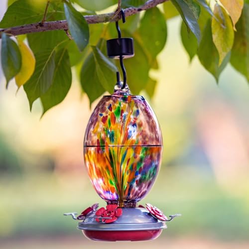 Glass Humming Bird Feeders for Outdoors (Purple Fireworks)