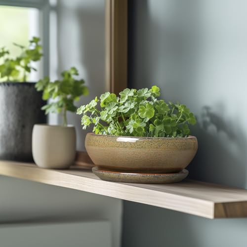 Succulent Pots (8 Inch / Speckled-brown)