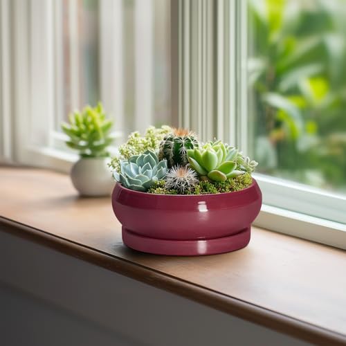 Bonsai Pots Small (6 Inch / Wine Red)