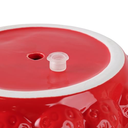 Fruit Inspired Planter for Indoor and Outdoor Display (Red / 6")