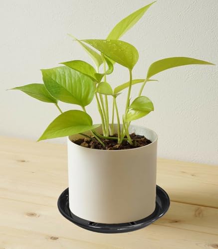 2 Pack of 12 inch Plant Saucer (12in*2 / Black)