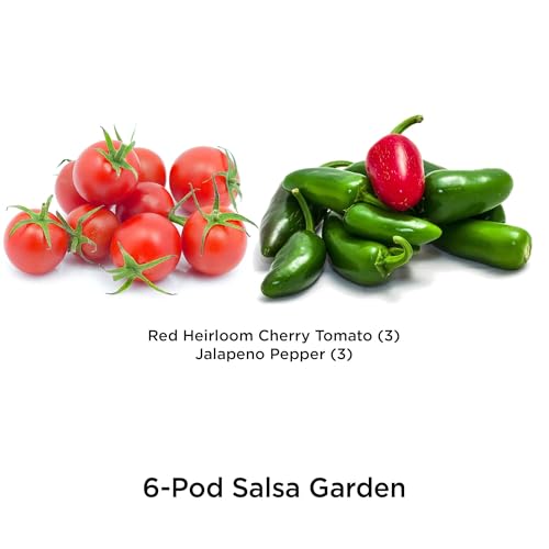 Salsa Garden Seed Pod Kit