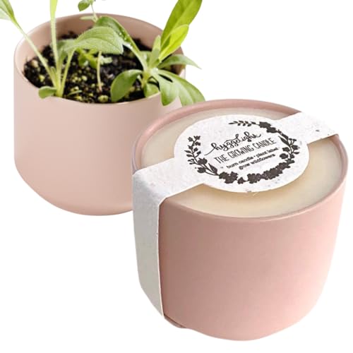 The Growing Candle (Adelyn)