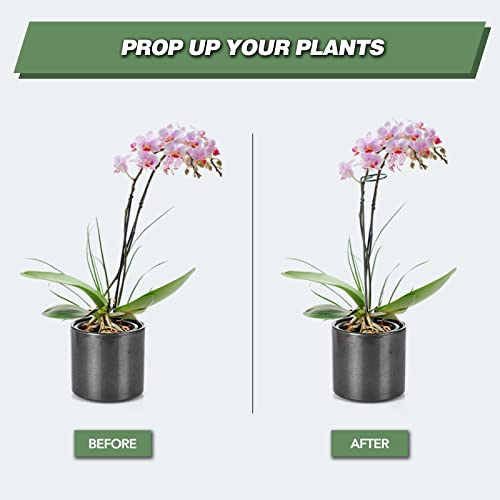 12 Pack 24 Inch Plant Support Stakes for Outdoor Plants and Indoor Flowers (24 inch)