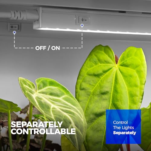 T5 Grow Lights for Indoor Plants (White / 2ft-white Cover)