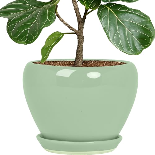 10 Inch Plant Pot (Mint Green / 10 Inch)