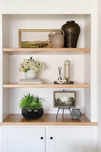 Artificial Succulents in Pots Fake Plants Faux Succulent Arrangement Potted Plant in Vase Black Ceramic Planter Bowl for Office Desk Bathroom Shelf Living Room Indoor Outdoor Home Decor (Black)