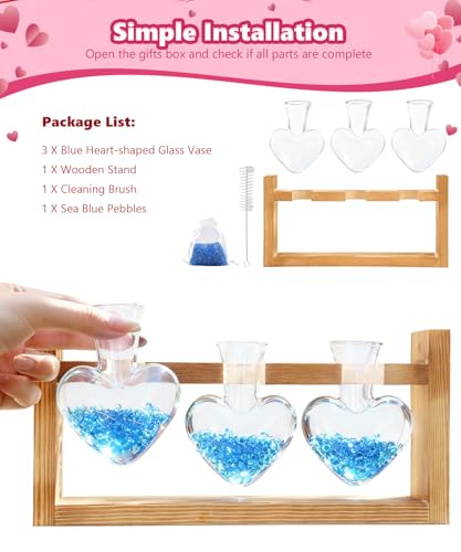 Plant Terrarium with Wooden Stand (Transparent)