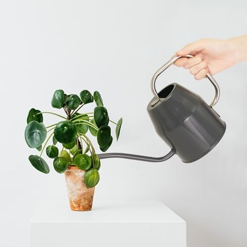 Metal Watering Can with Removable Spout (Black / 0.5 Gallon)