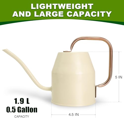 Metal Watering Can with Removable Spout (White / 0.5 Gallon)