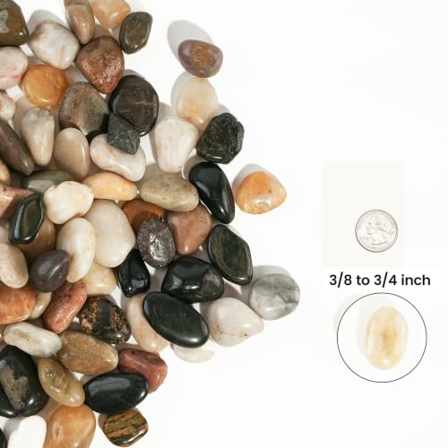 36 LBS River Rocks (Mixed Color / 36 LBS)